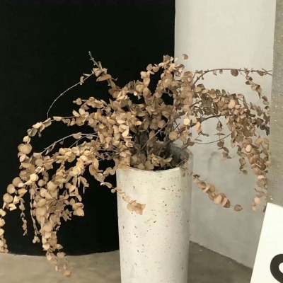 海北福瑞交流群